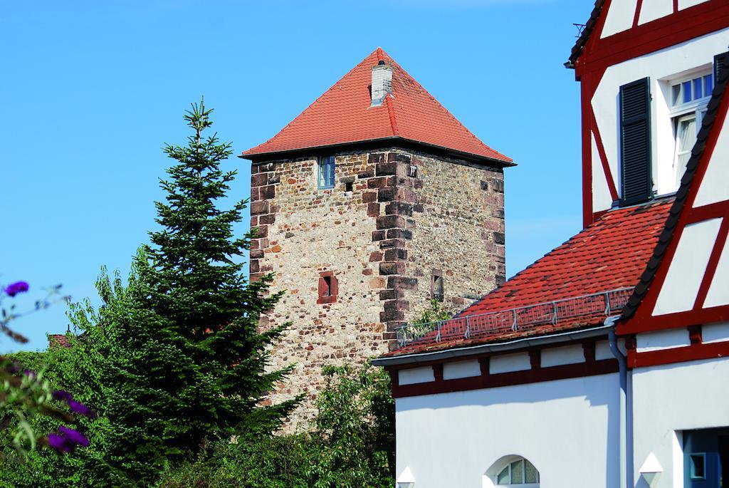 Landhotel Altes Wasserwerk Gbr Freinsheim Luaran gambar